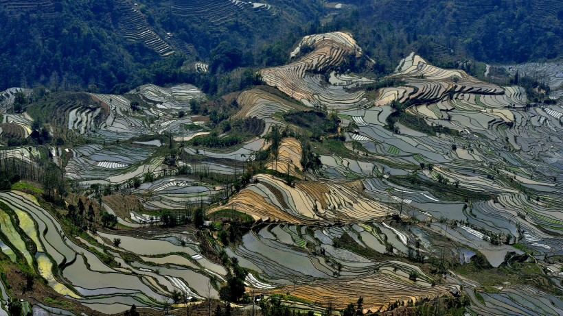 云南元阳梯田风景图片(17张)