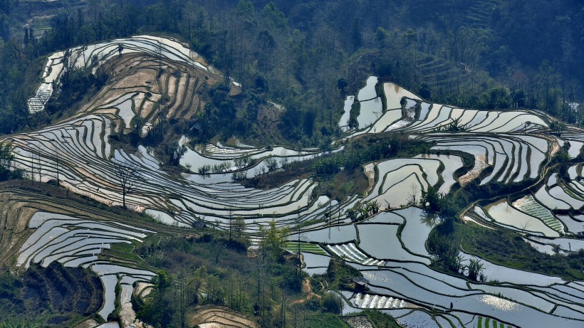 云南元阳梯田风景图片(17张)