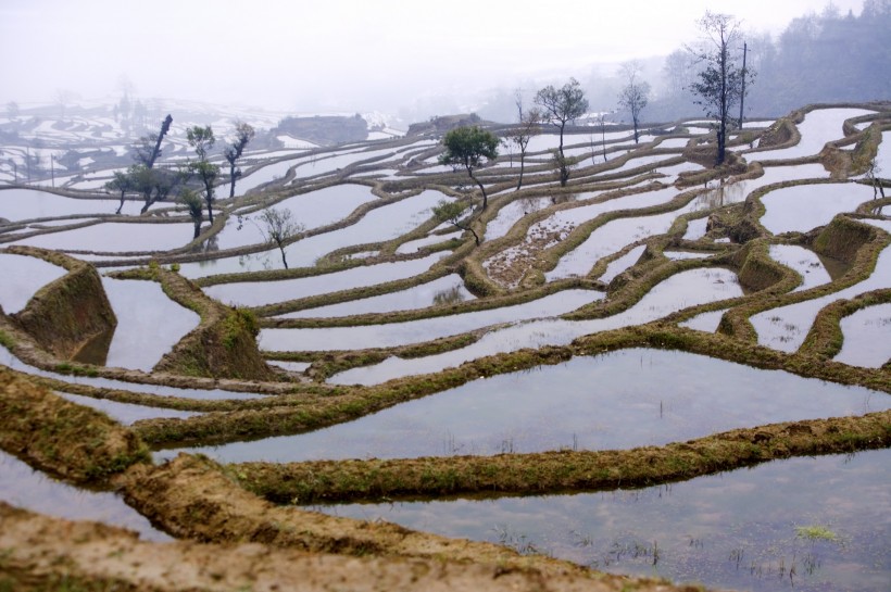 云南元阳梯田风光图片(52张)