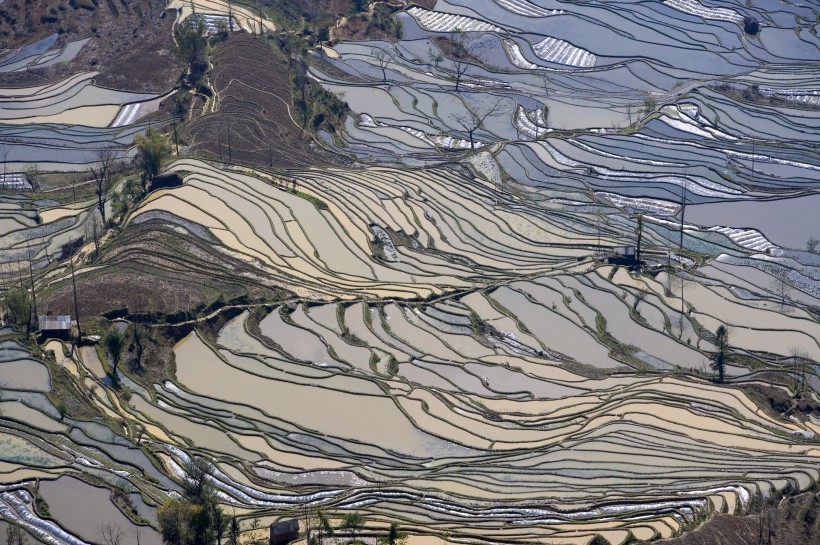 云南元阳梯田风光图片(52张)