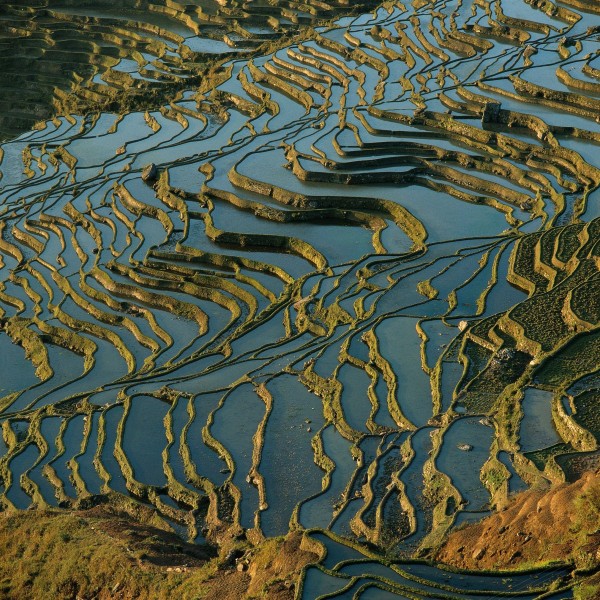 云南元阳梯田风光图片(52张)