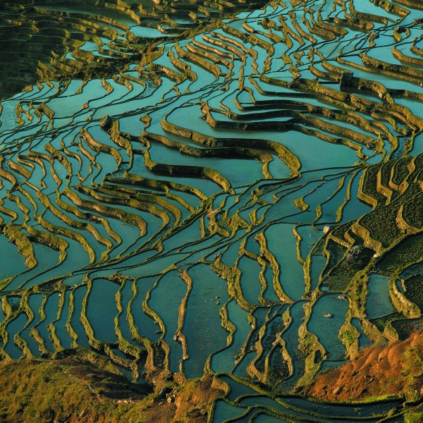 云南元阳梯田风光图片(52张)