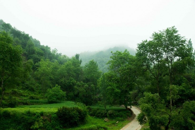 甘肃云雾山风景图片(6张)