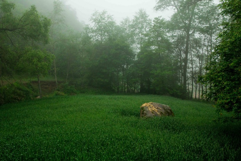 甘肃云雾山风景图片(6张)