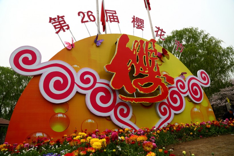北京玉渊潭公园樱花风景图片(11张)