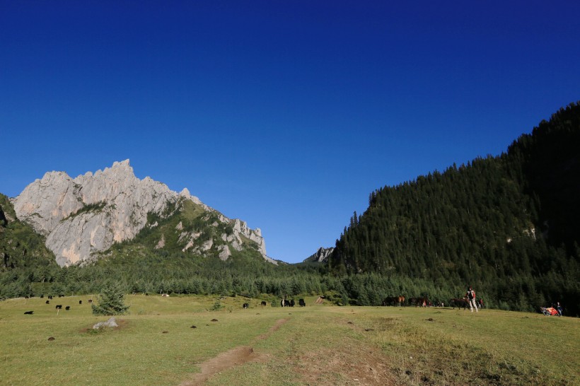 甘肃扎尕那山风景图片(13张)