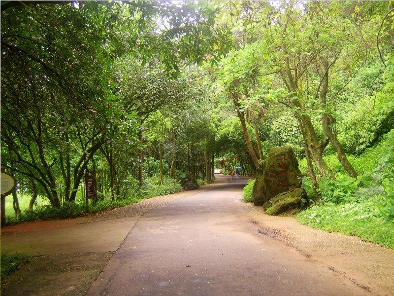 广东湛江风景图片(17张)