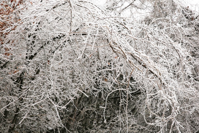 重庆三峡芝兰谷雪景图片(10张)