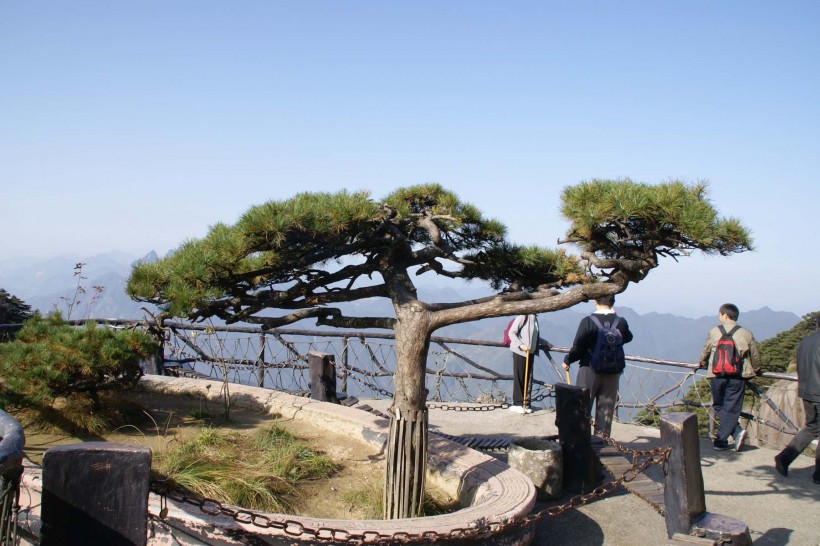 浙江诸葛八卦村图片(21张)