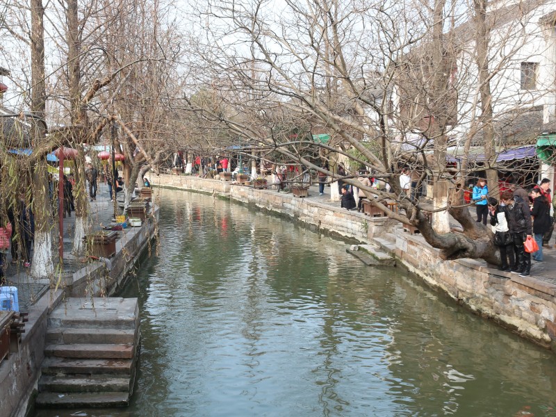 朱家角风景图片(13张)