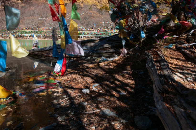 西藏卓玛拉措风景图片(7张)