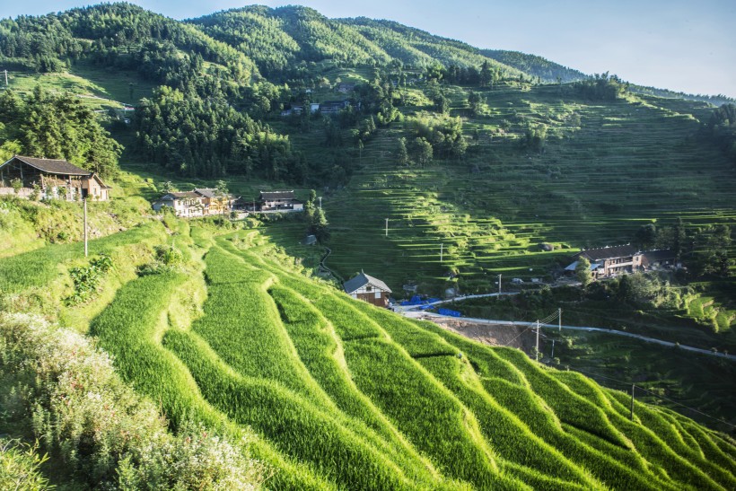 湖南紫鹊界梯田风景图片(10张)