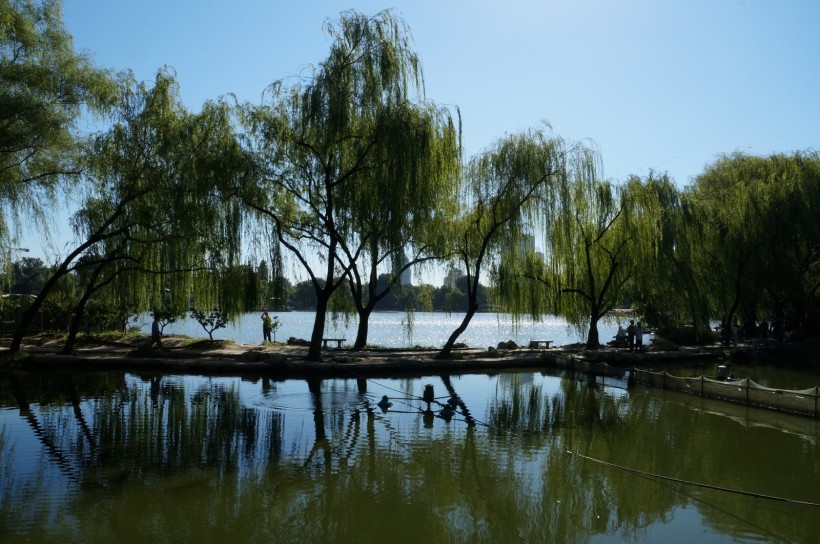 北京紫竹院风景图片(20张)