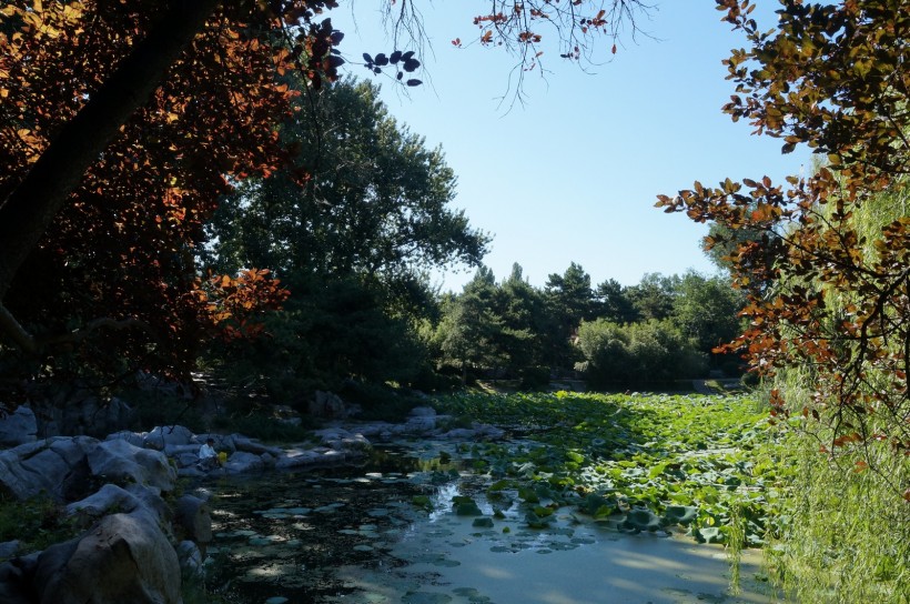 北京紫竹院风景图片(20张)