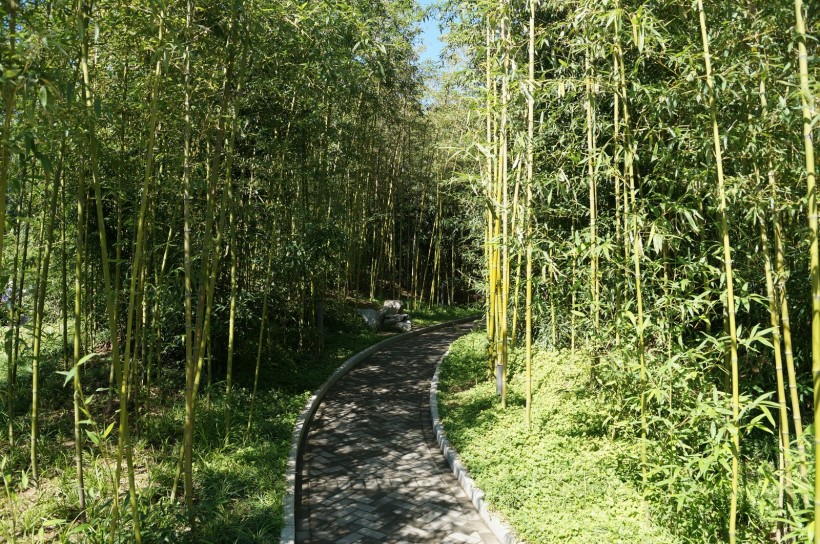 北京紫竹院风景图片(20张)