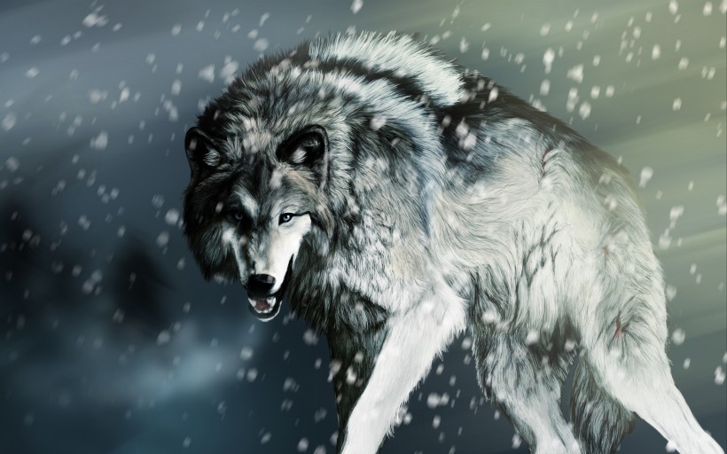 凶猛的狼图片(20张)