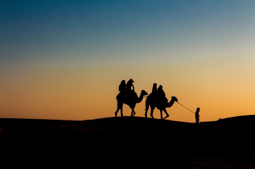 荒漠中的骆驼图片(12张)