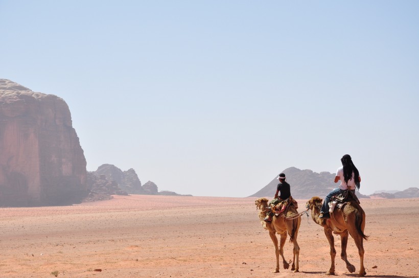 荒漠中的骆驼图片(12张)
