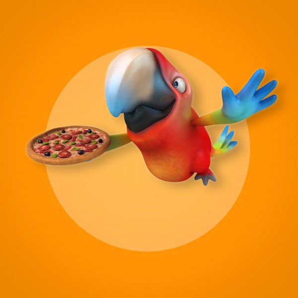 可爱的3D鹦鹉图片(11张)