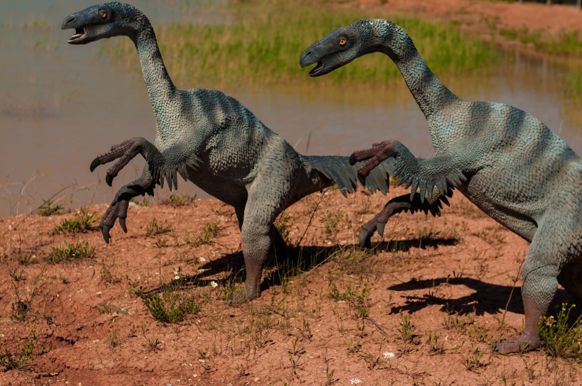 白垩纪时期的恐龙图片(15张)