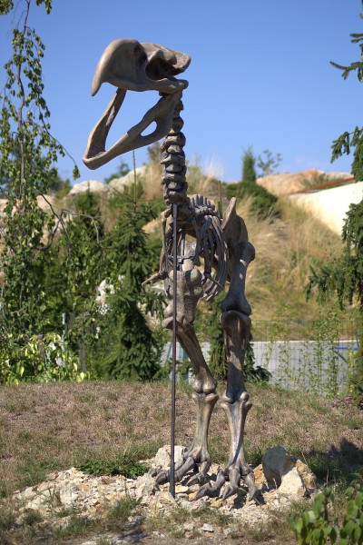 恐龙化石图片(11张)