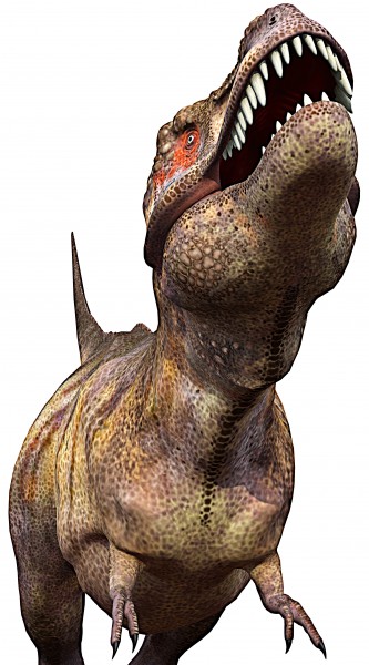 恐龙模型图片(8张)