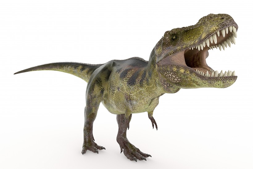 恐龙模型图片(8张)