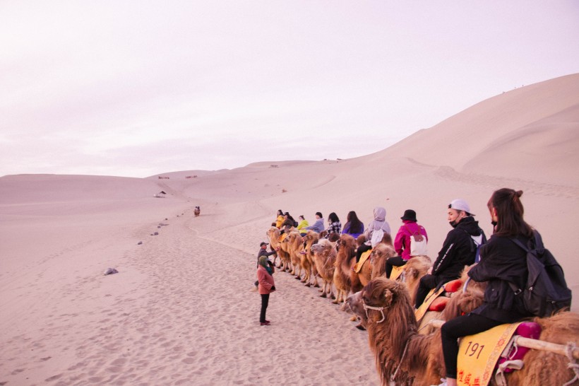 沙漠中骑行的骆驼图片(14张)