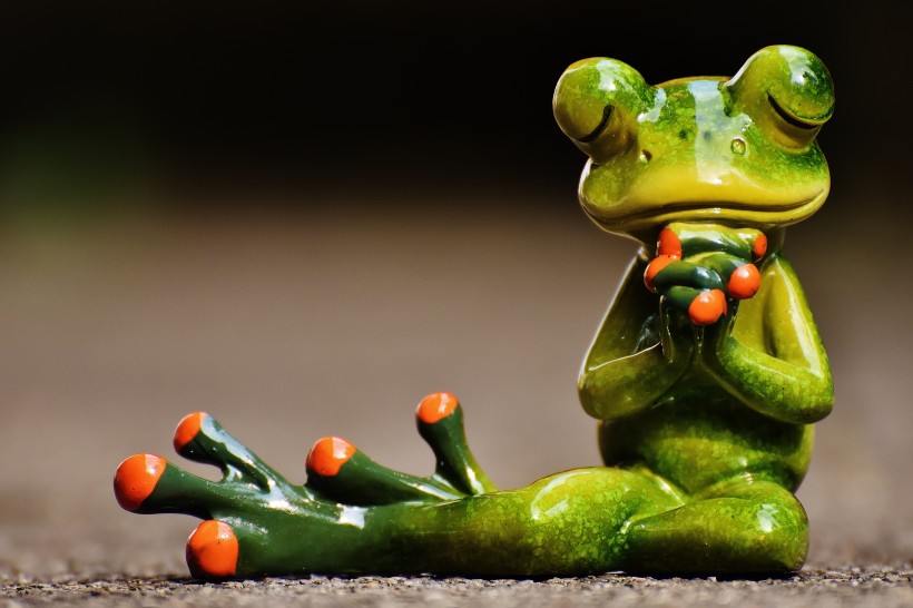 青蛙玩具图片(11张)