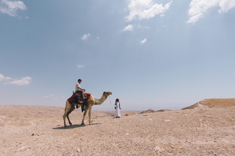 沙漠中的骆驼图片(8张)
