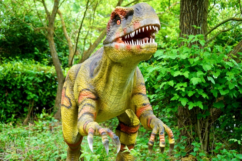 恐龙模型和恐龙化石图片(11张)