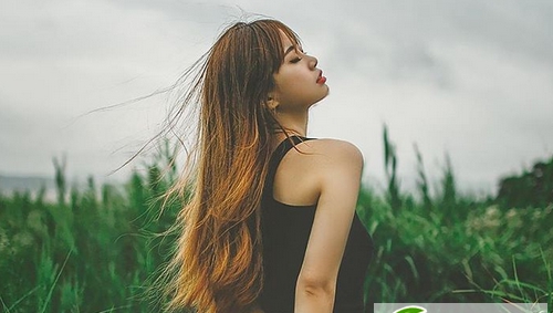 韩式小清新女生发型 2017流行发型图片大全