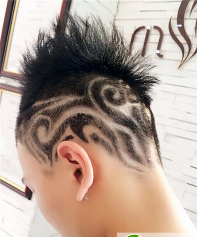 你见过如此雷人的发型吗 盘点最另类的男生发型