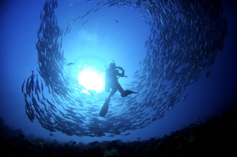 深海潜水图片(57张)