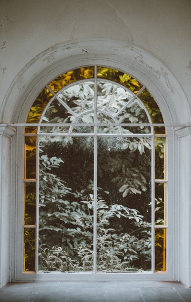 植物装饰的窗户图片(13张)