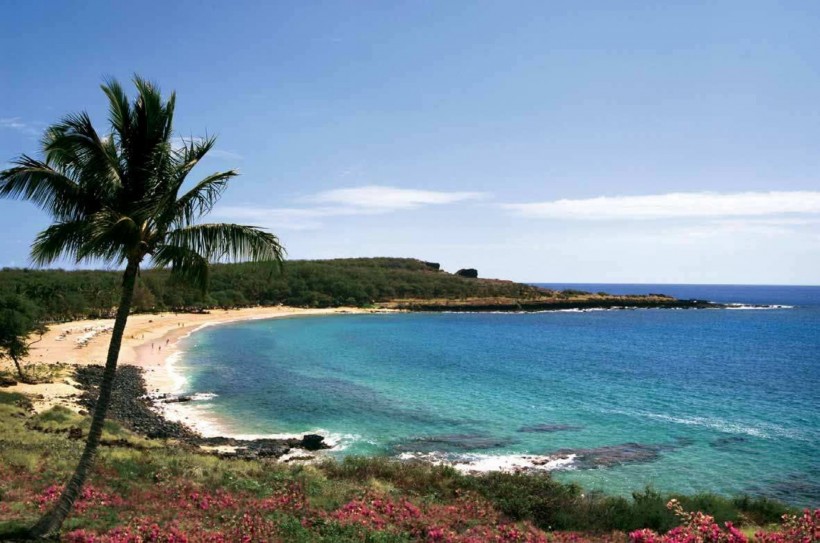 美国科莱拉奈夏威夷四季酒店图片(15张)