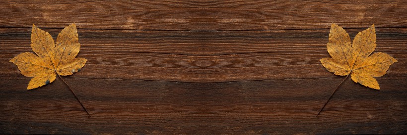 平滑的木板图片(12张)