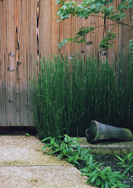 日式小屋图片(76张)