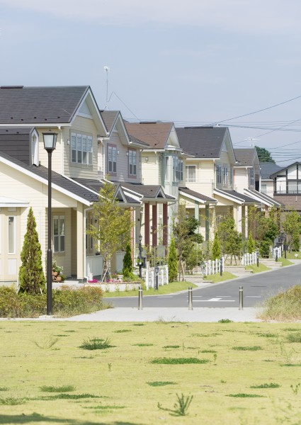 城镇房屋图片(25张)