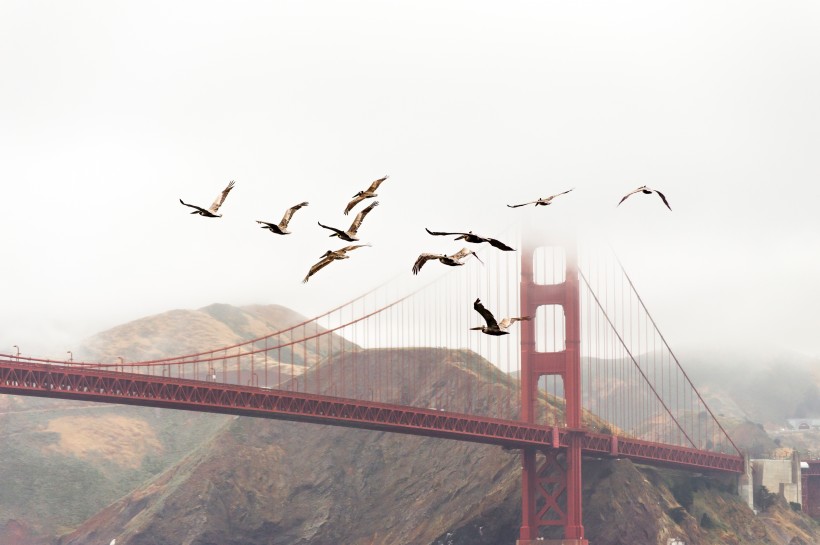 雄伟的美国旧金山金门大桥图片(21张)