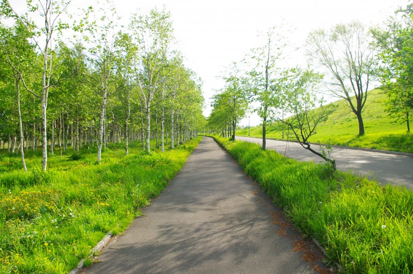日本札幌市莫埃来沼公园图片(13张)