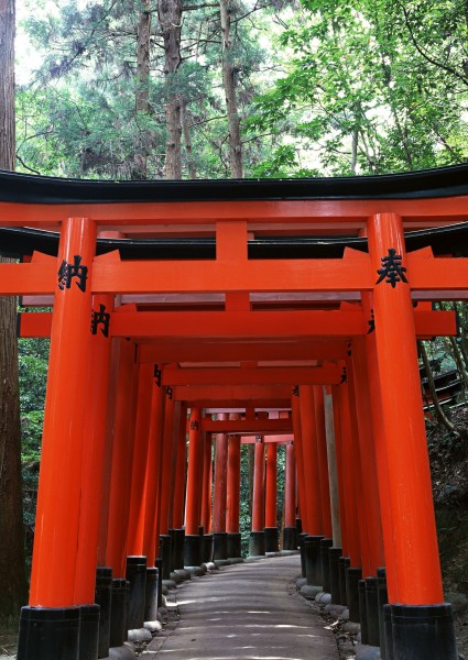 日本本土建筑图片(71张)