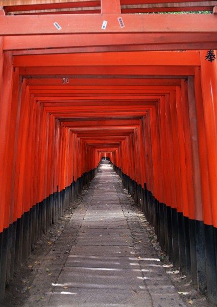 日本本土建筑图片(71张)