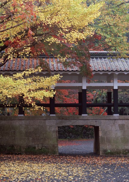 日式庭院和枫叶图片(23张)