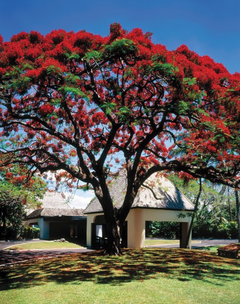 香格里拉斐济度假酒店风景图片(17张)