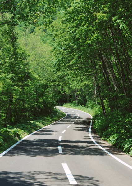 道路景观图片(37张)