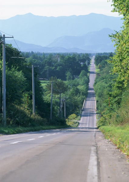 道路景观图片(37张)