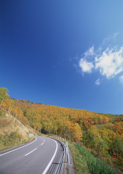 道路景观图片(37张)