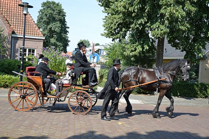 荷兰传统马车图片(14张)