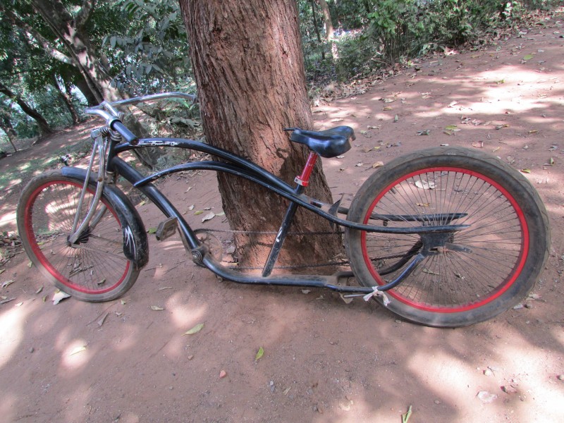 停放的自行车图片(11张)